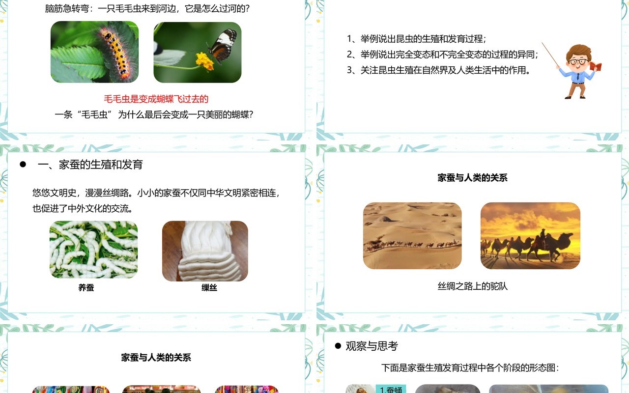 部编版八年级生物下册昆虫的生殖和发育课件PPT模板