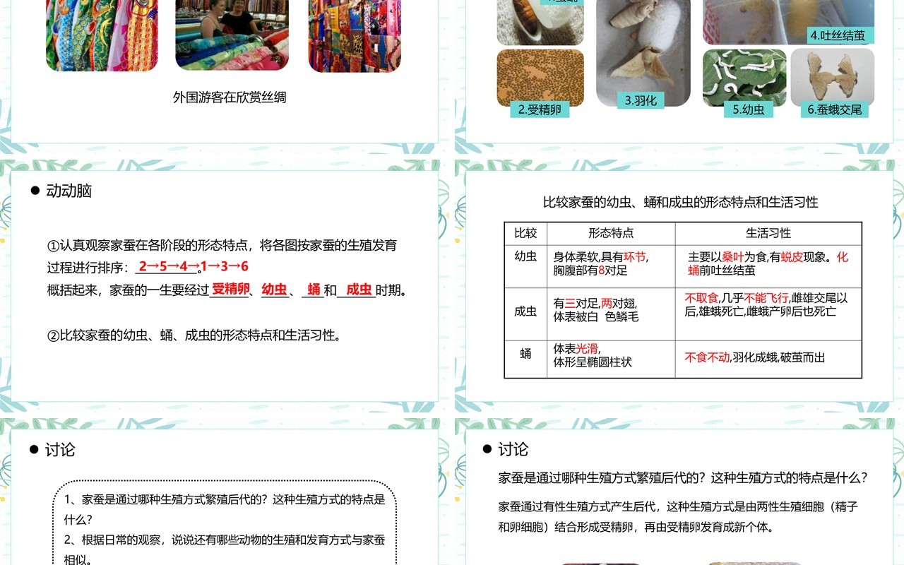 部编版八年级生物下册昆虫的生殖和发育课件PPT模板