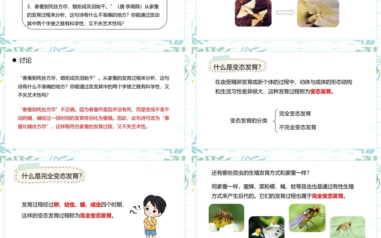 部编版八年级生物下册昆虫的生殖和发育课件PPT模板