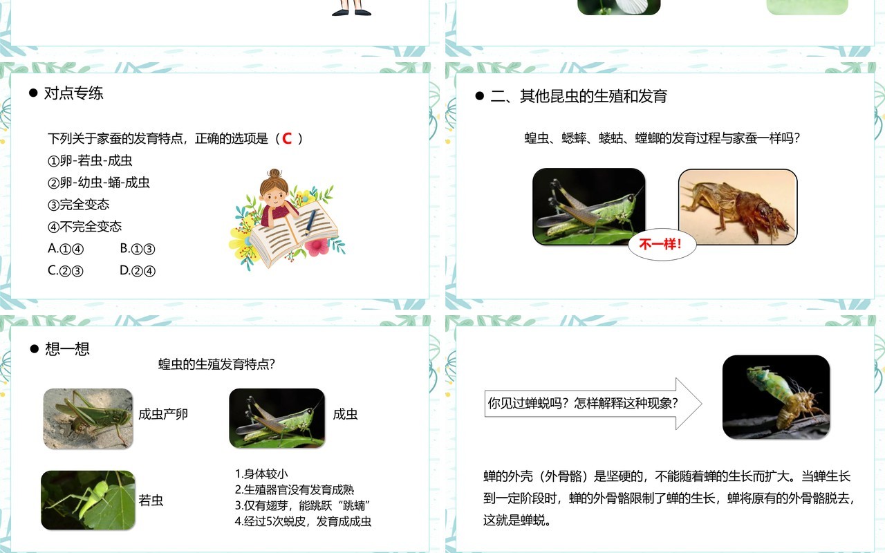 部编版八年级生物下册昆虫的生殖和发育课件PPT模板