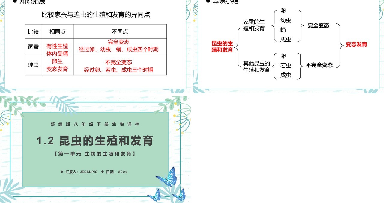 部编版八年级生物下册昆虫的生殖和发育课件PPT模板