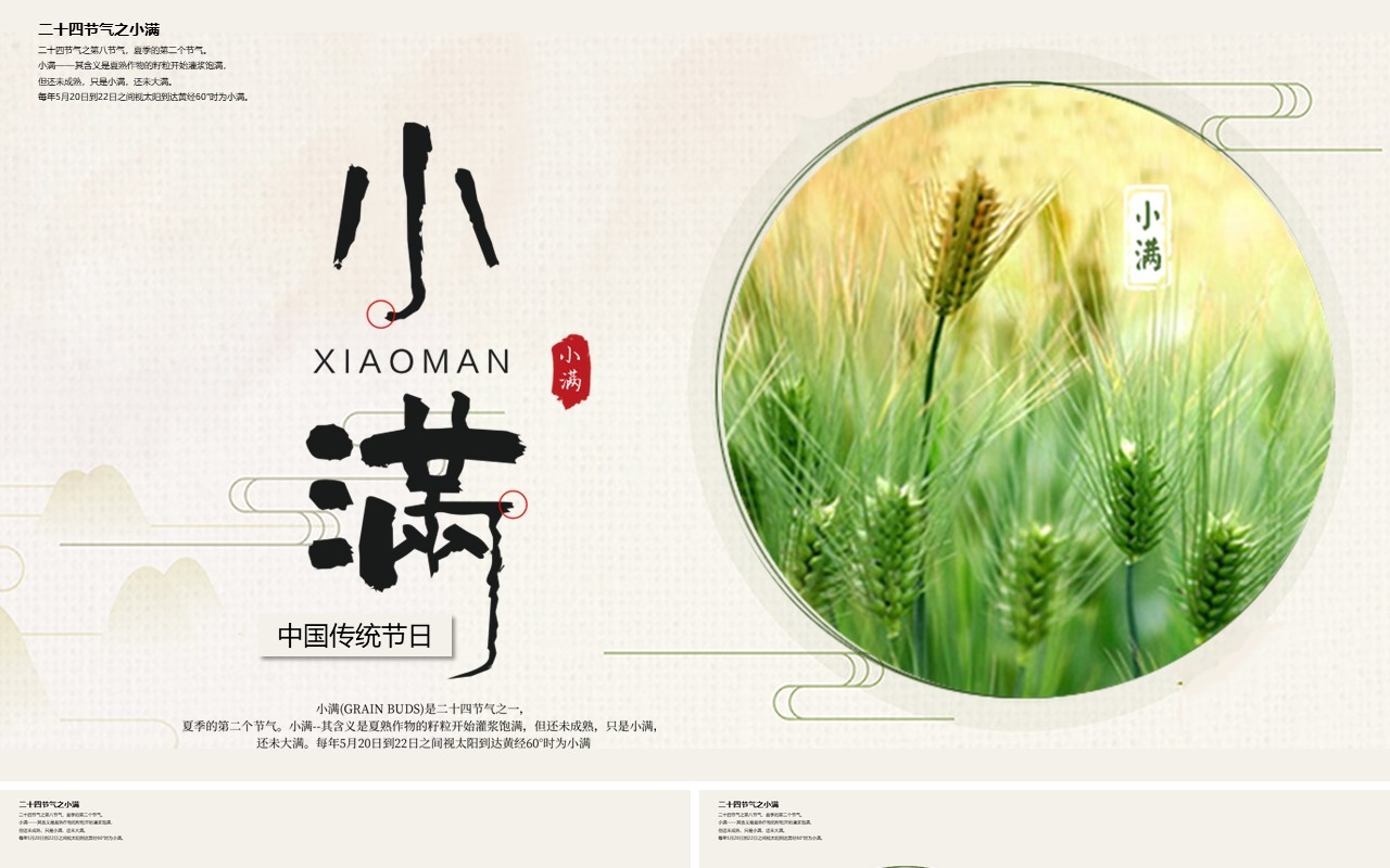 传统二十四节气之小满介绍课件PPT模板