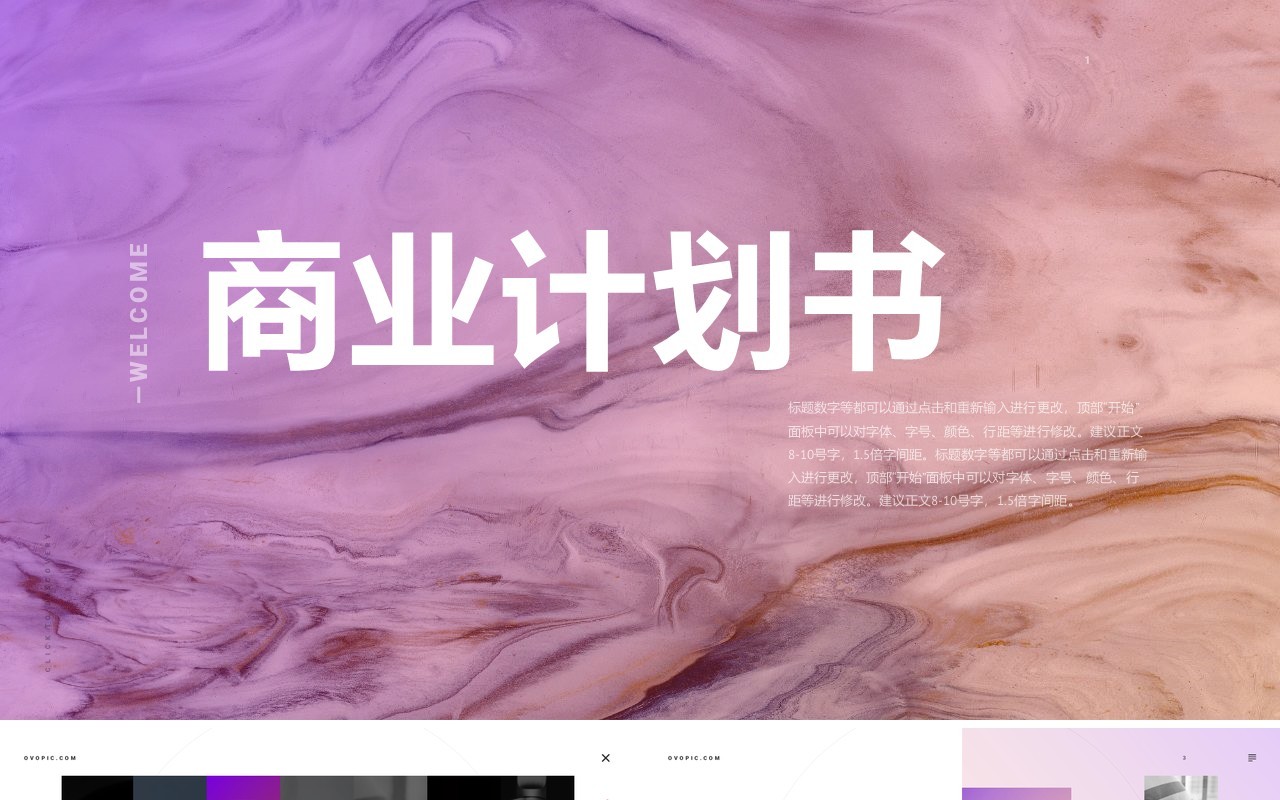 高端营销策划商业计划书PPT模板