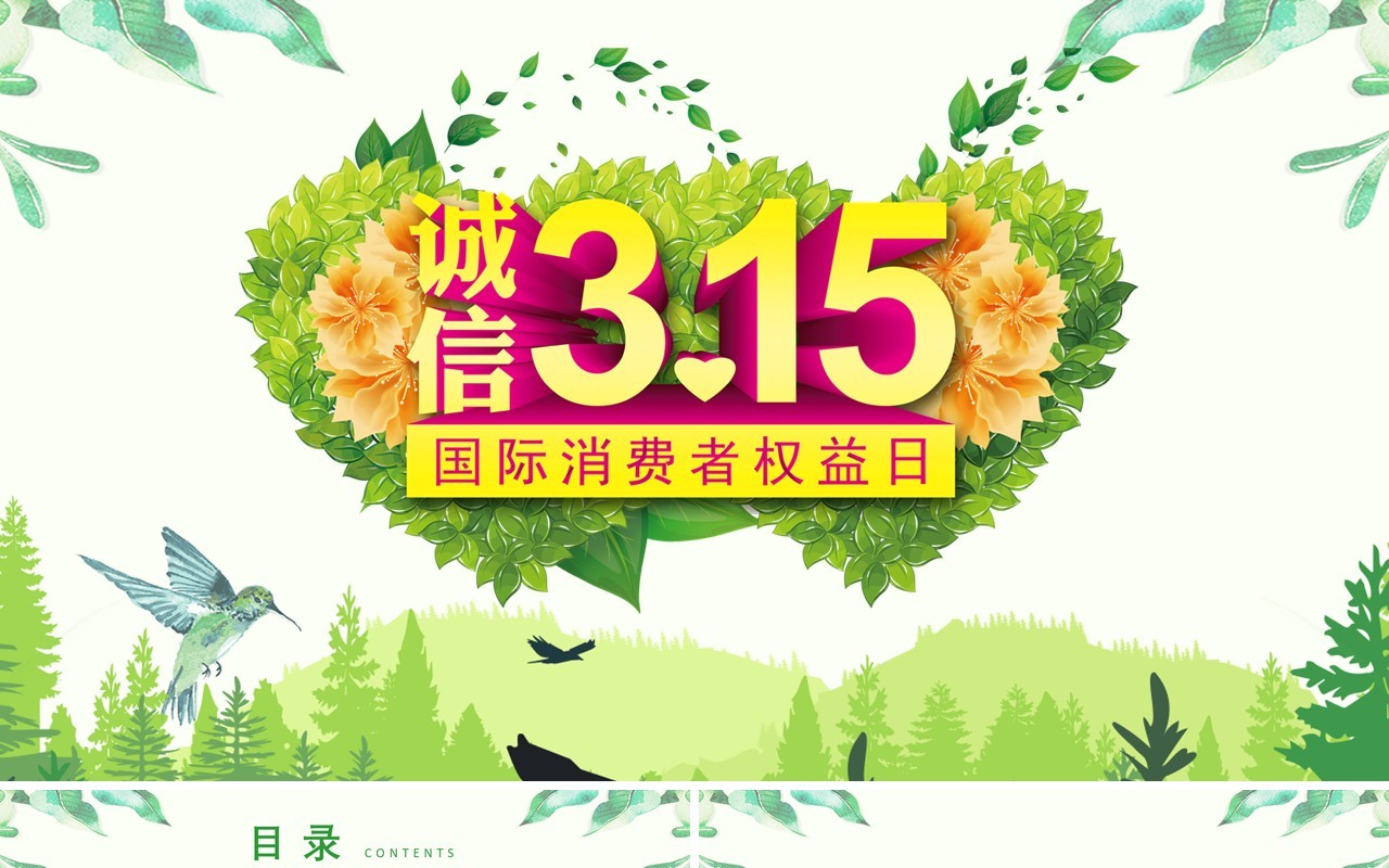 315消费者权益日PPT模板10