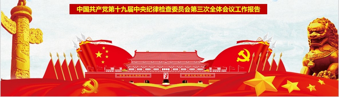 中央纪律检查委员第三次全体会议工作报告PPT党课模板