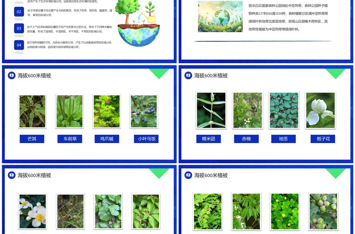 蓝色清新风生态环境保护讲座PPT模板