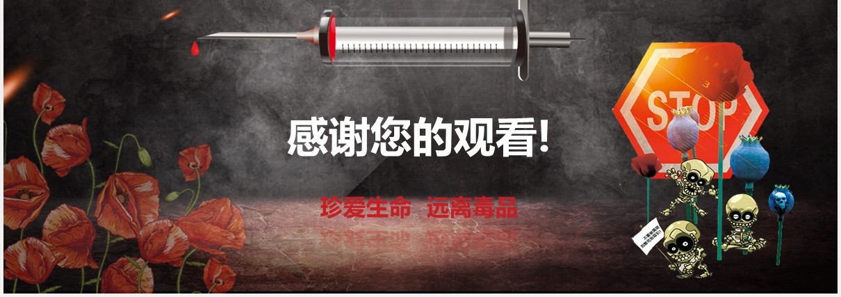 黑板风禁毒教育青少年预防毒品主题宣传课件PPT模板