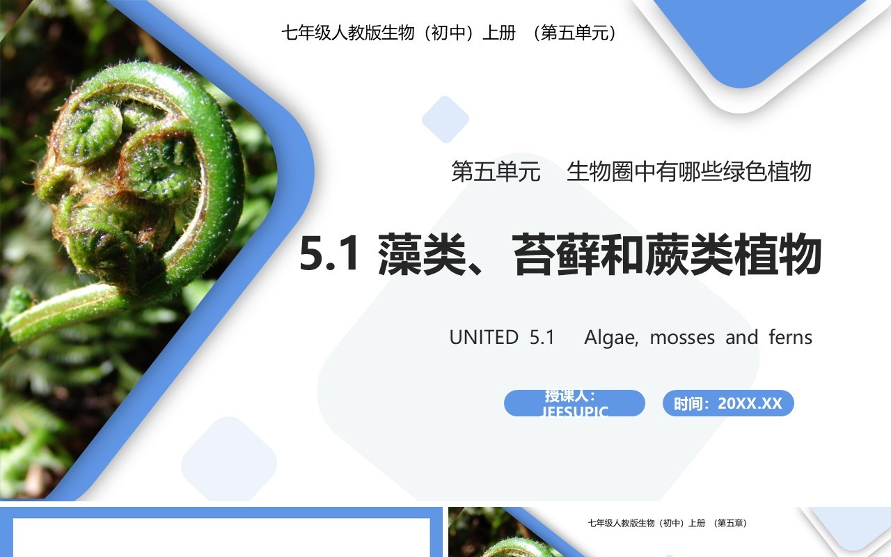 部编版七年级生物上册藻类、苔藓和蕨类植物课件PPT模板