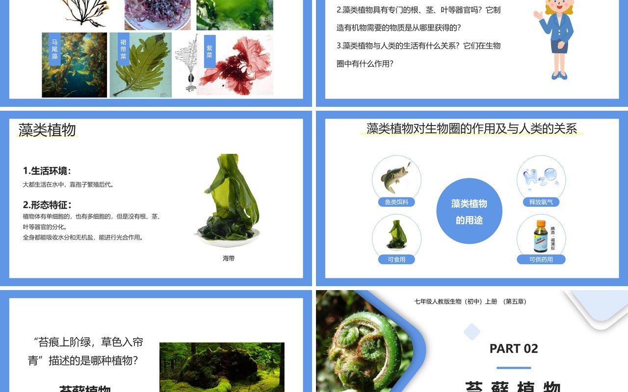 部编版七年级生物上册藻类、苔藓和蕨类植物课件PPT模板