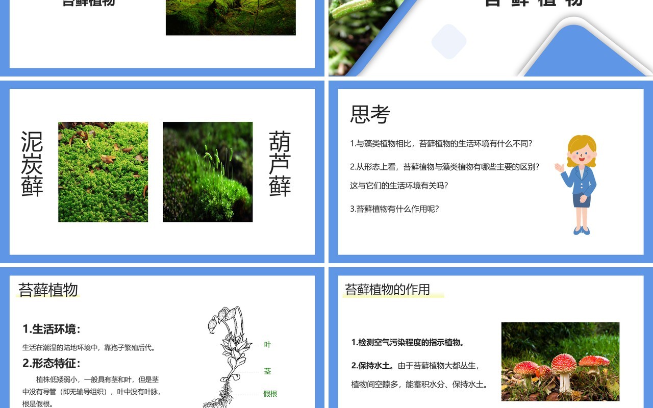 部编版七年级生物上册藻类、苔藓和蕨类植物课件PPT模板