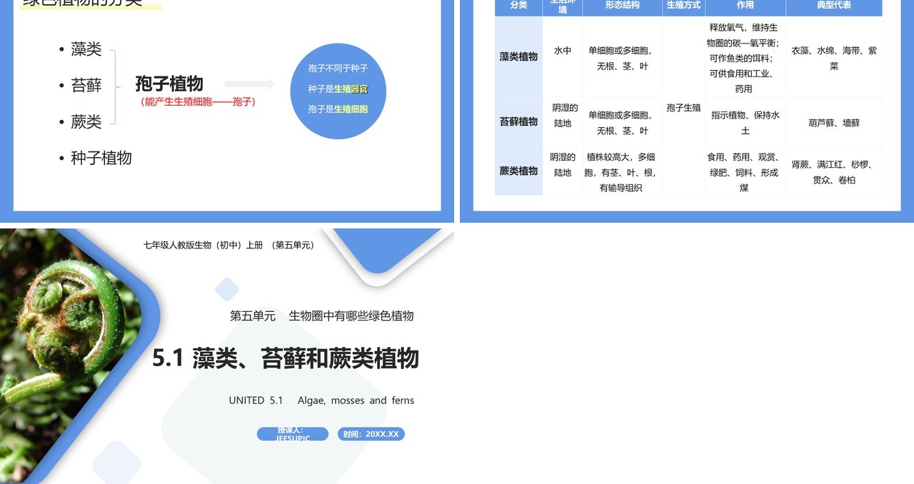部编版七年级生物上册藻类、苔藓和蕨类植物课件PPT模板