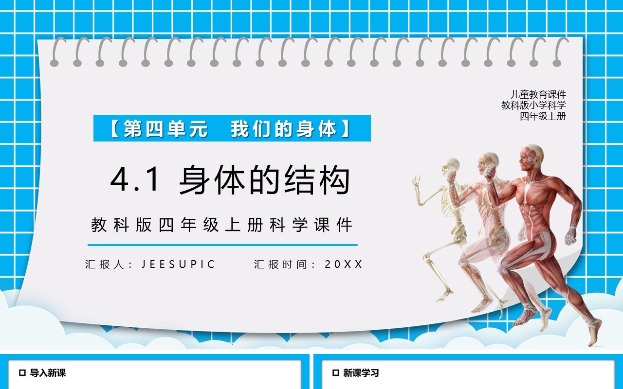 教科版四年级科学上册身体的结构课件PPT模板