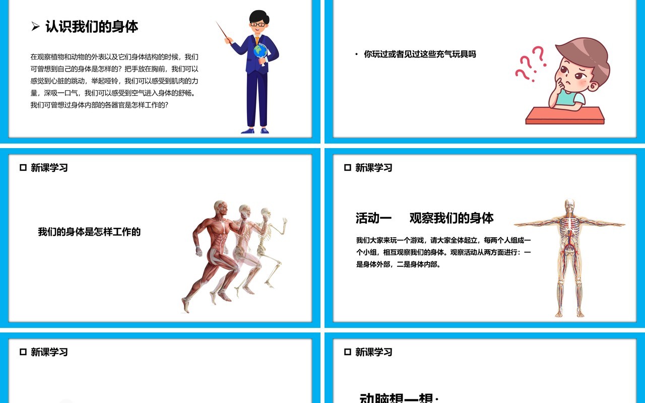 教科版四年级科学上册身体的结构课件PPT模板