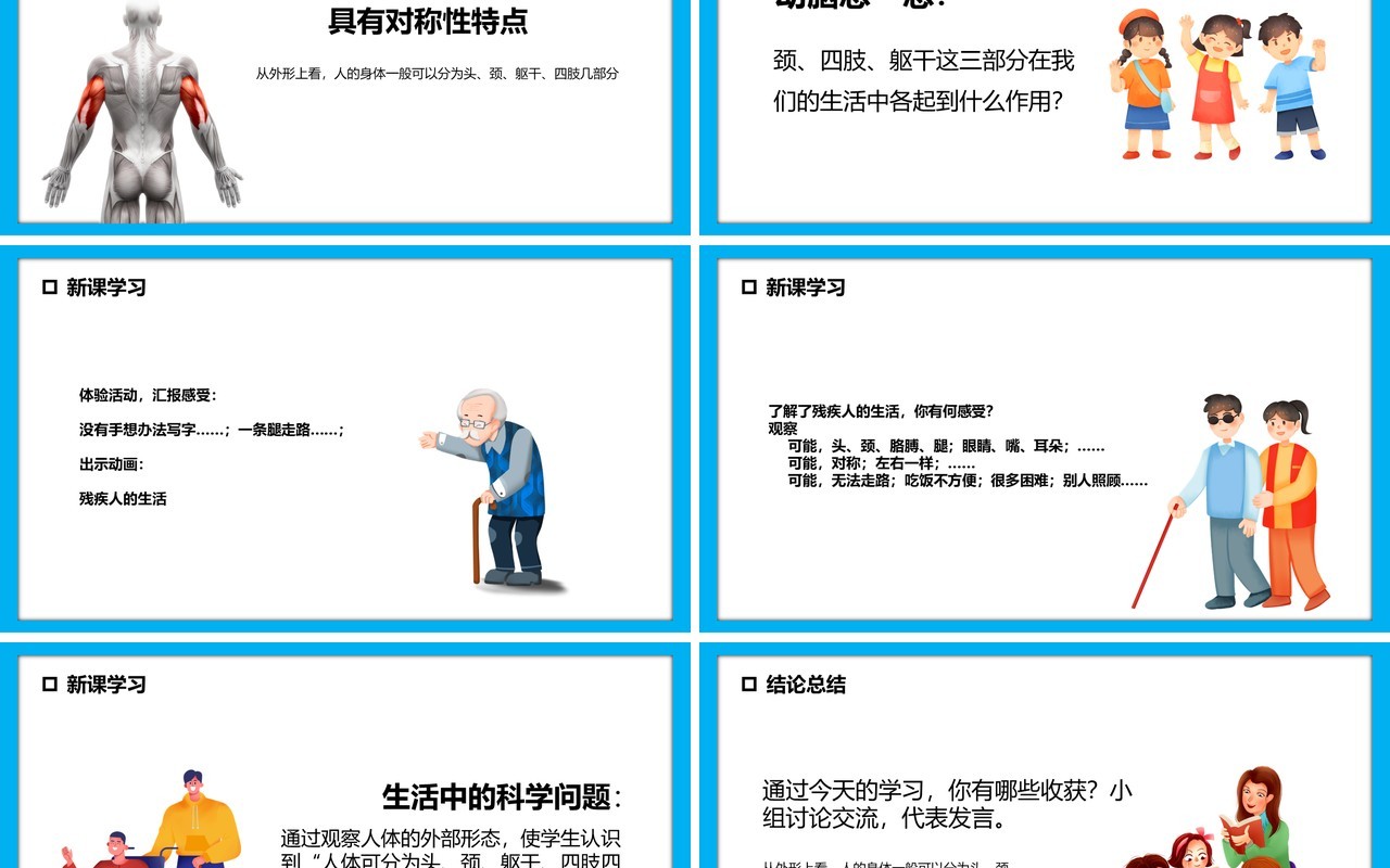 教科版四年级科学上册身体的结构课件PPT模板