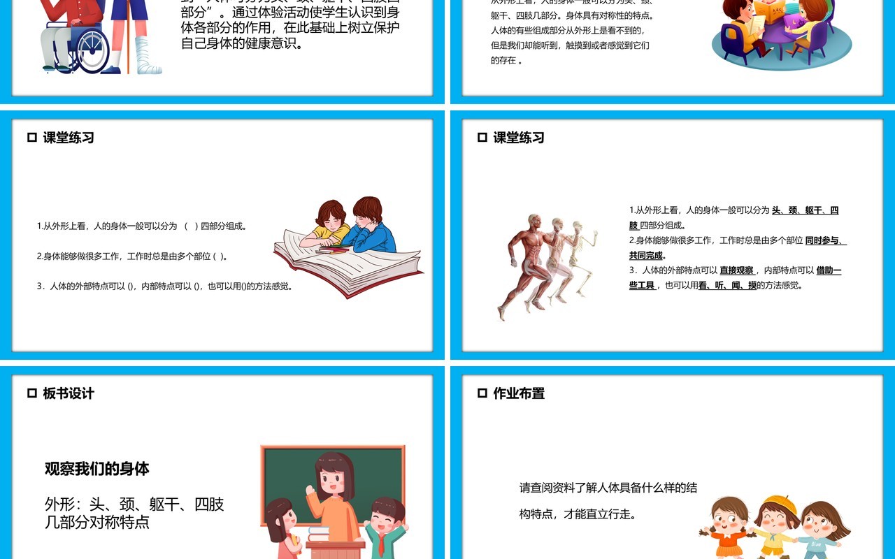 教科版四年级科学上册身体的结构课件PPT模板