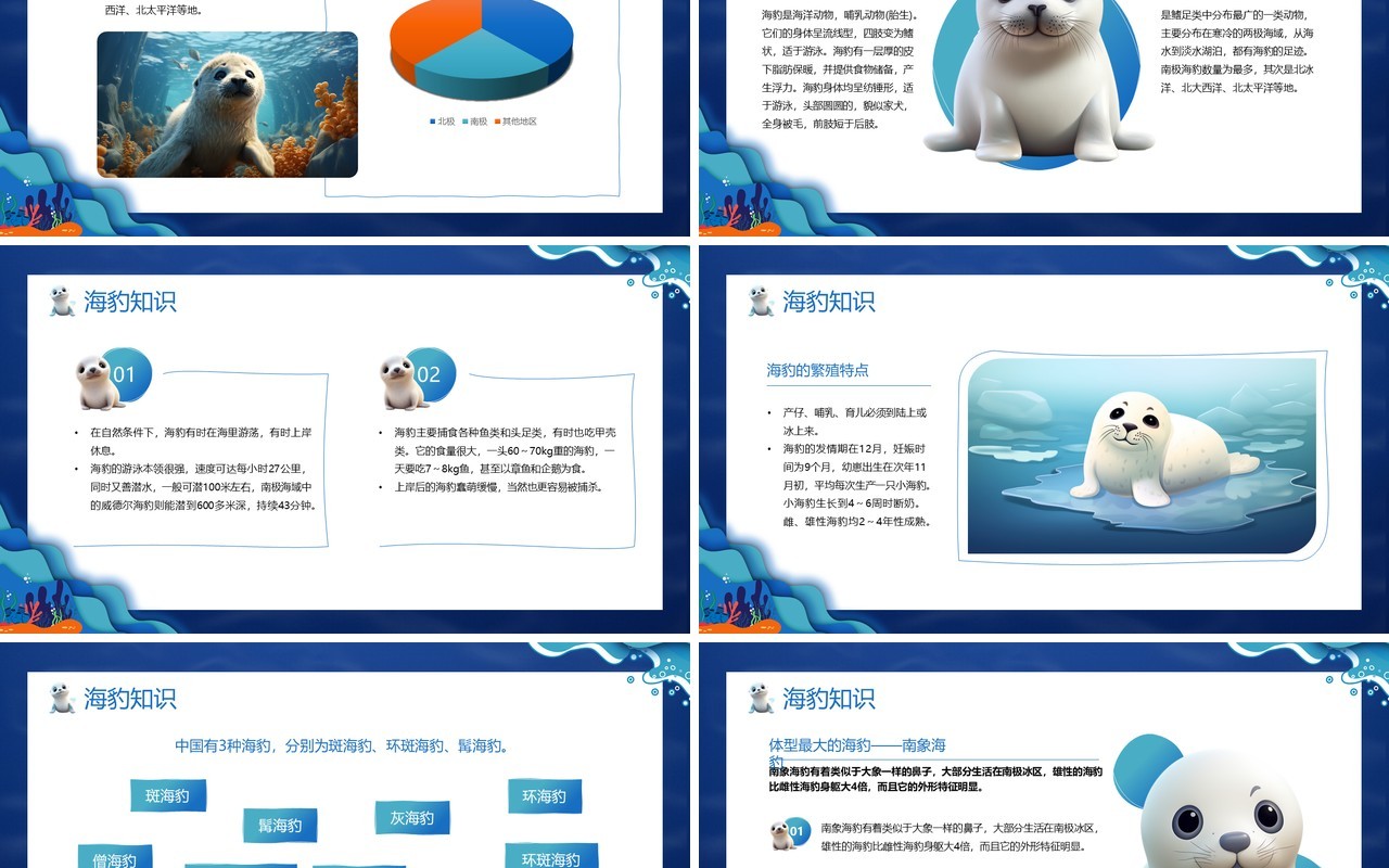 蓝色卡通风国际海豹日介绍PPT模板