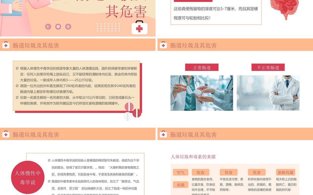 橙色清新风肠道健康管理PPT模板