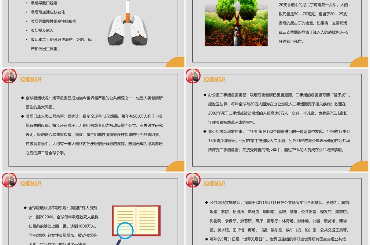 灰色控烟知识讲座PPT模板