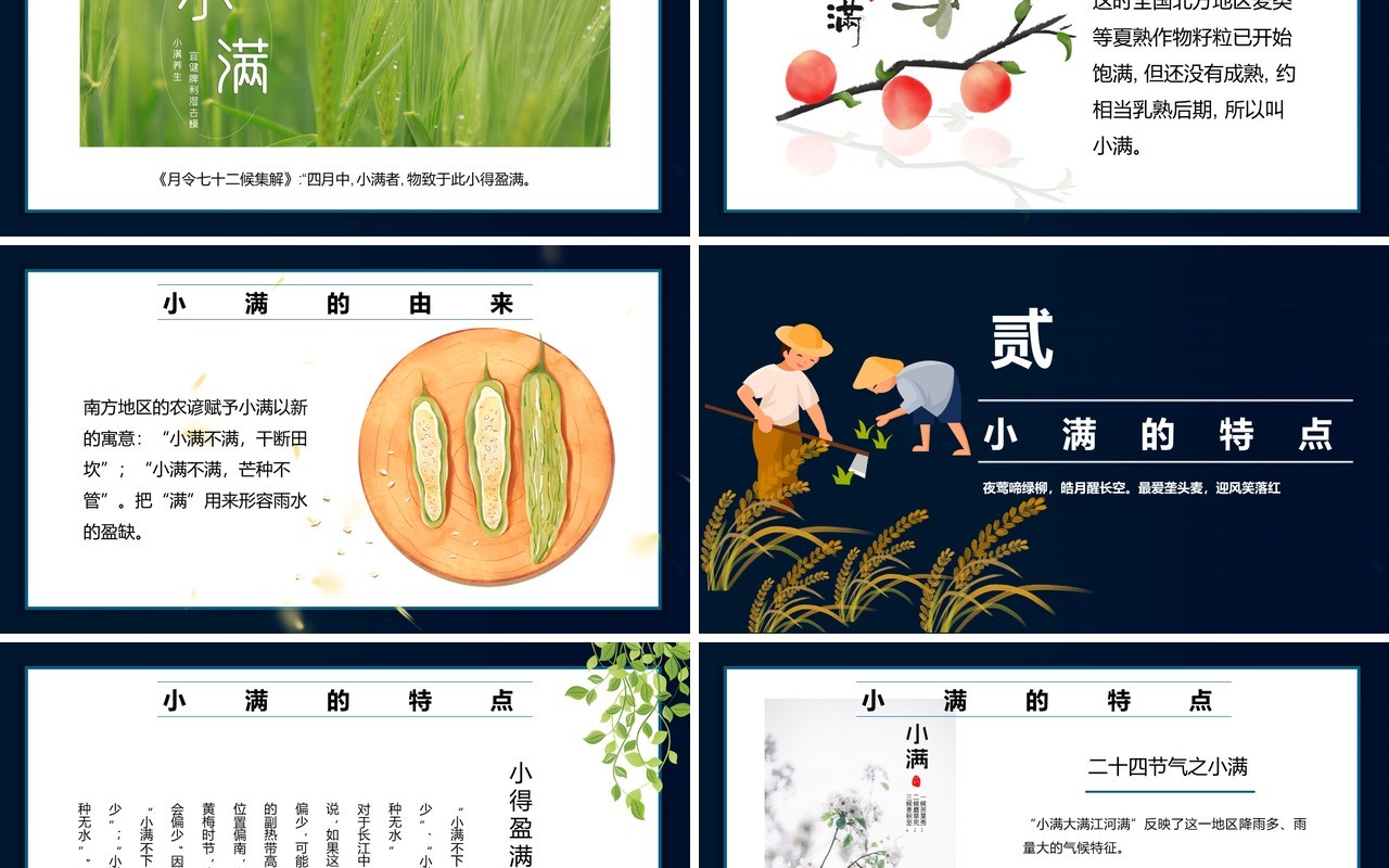 卡通中国风小满节气活动策划PPT模板