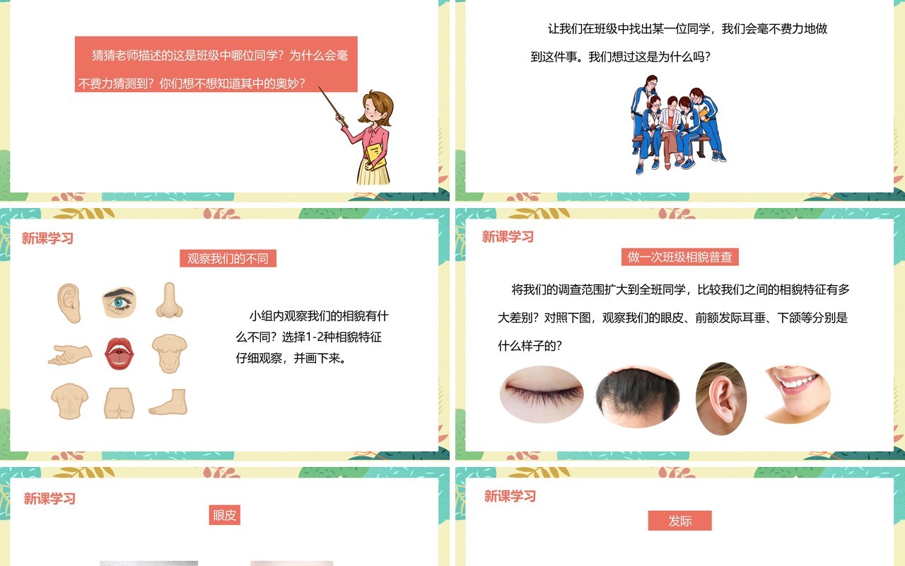 教科版六年级科学上册相貌各异的我们PPT模板