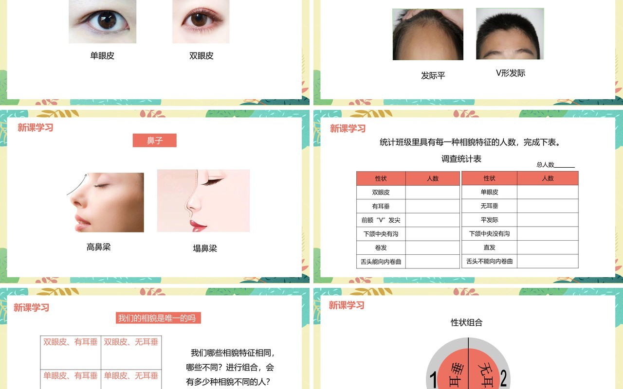 教科版六年级科学上册相貌各异的我们PPT模板