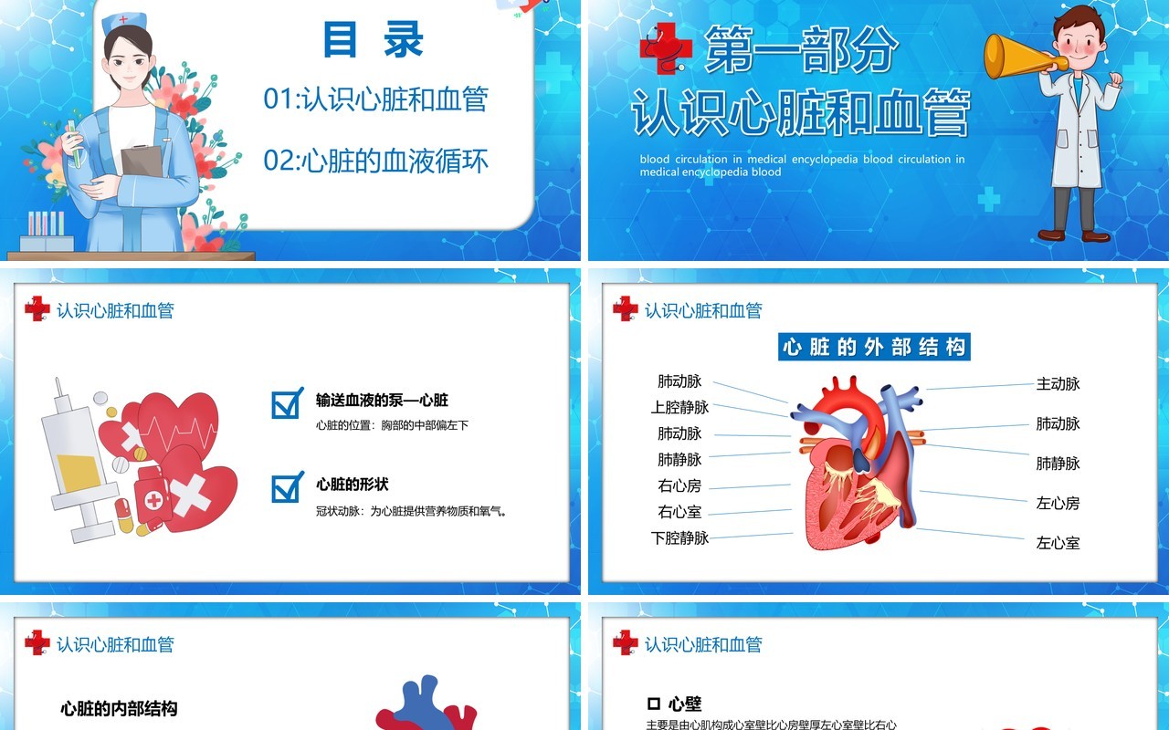 卡通风医疗百科之血液循环知识讲座PPT模板
