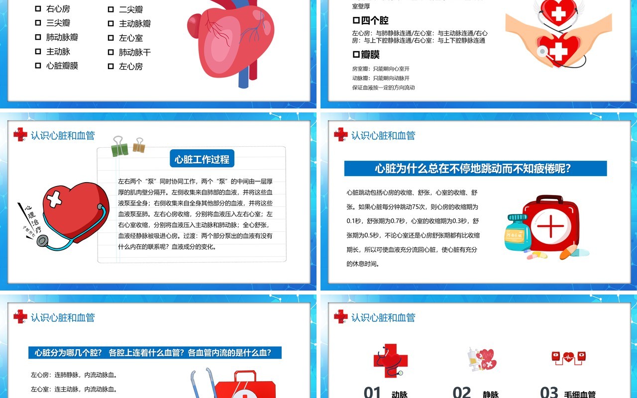 卡通风医疗百科之血液循环知识讲座PPT模板