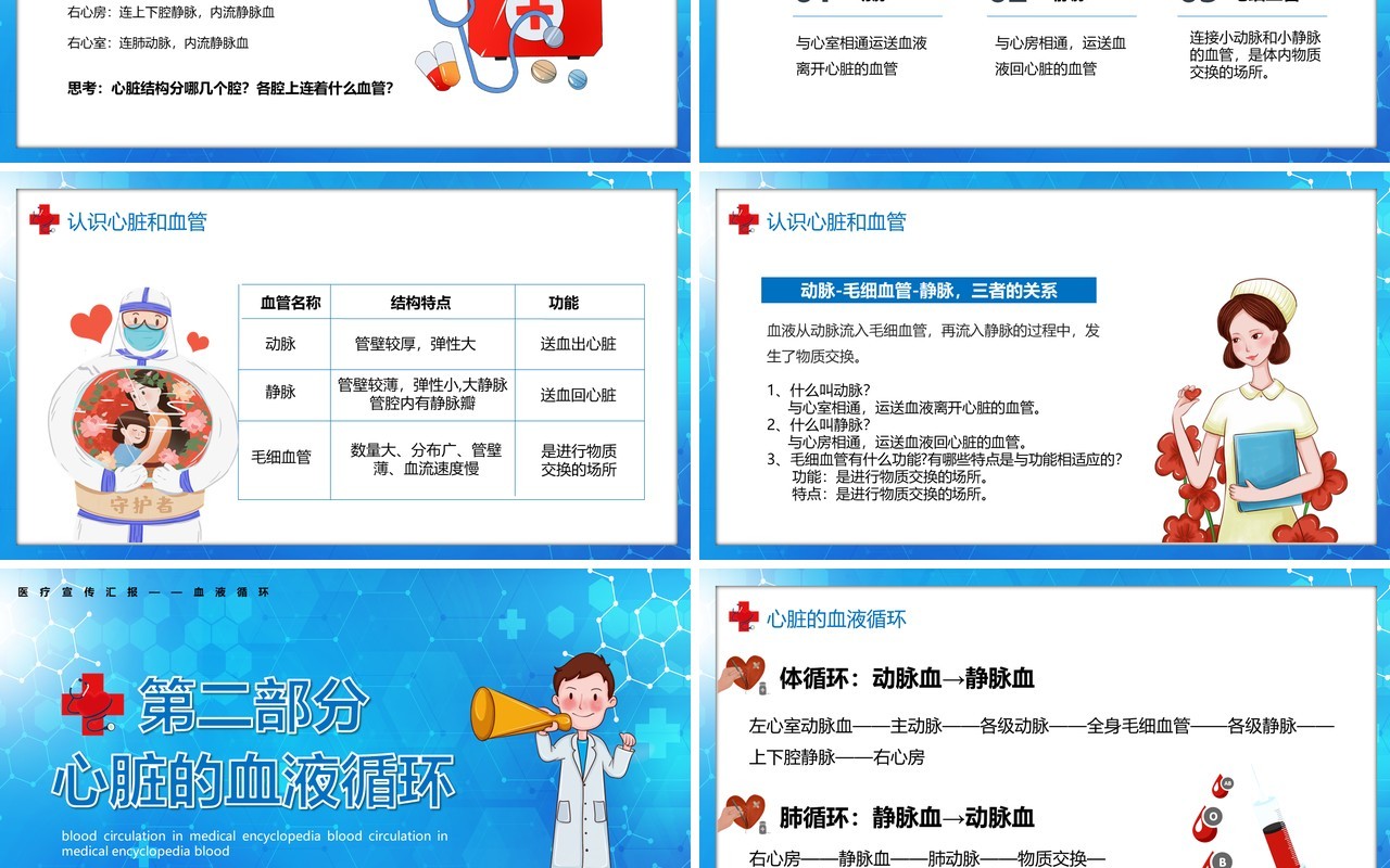 卡通风医疗百科之血液循环知识讲座PPT模板
