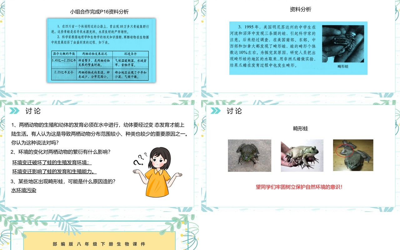部编版八年级生物下册两栖动物的生殖和发育课件PPT模板