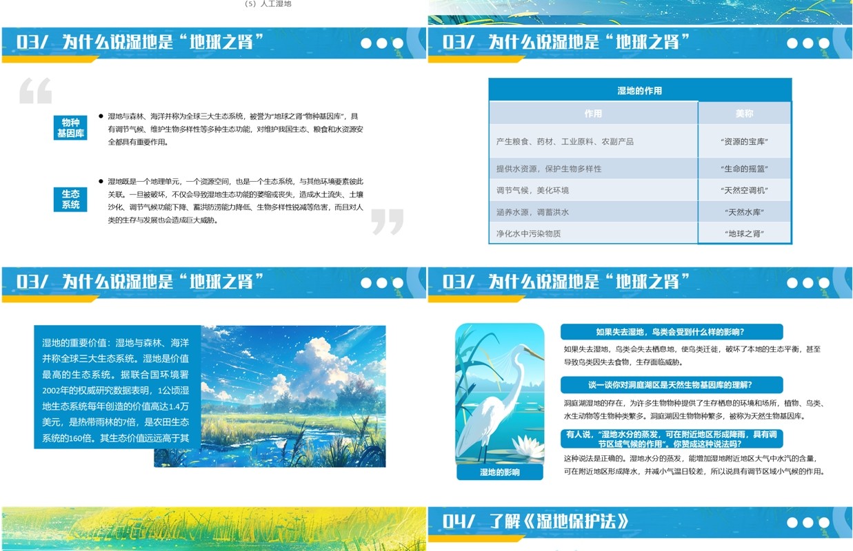 蓝色插画风世界湿地日介绍PPT模板