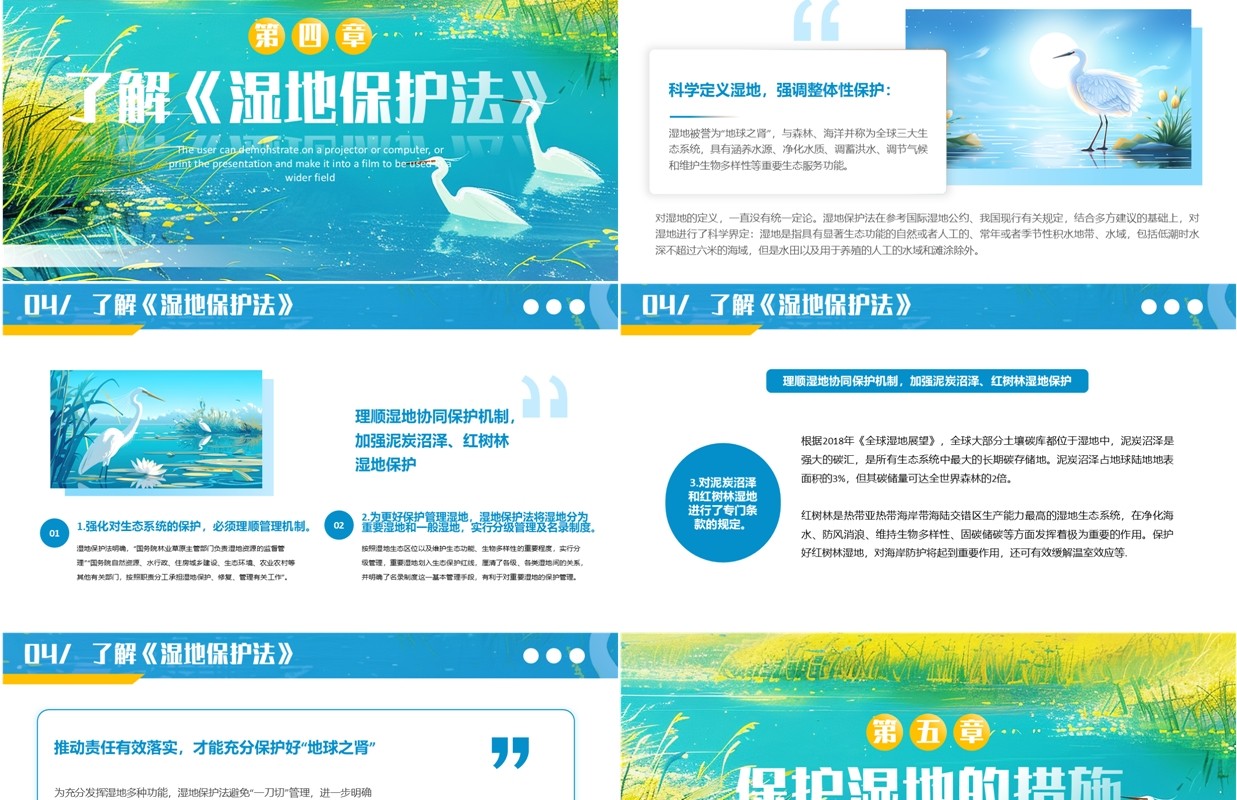 蓝色插画风世界湿地日介绍PPT模板