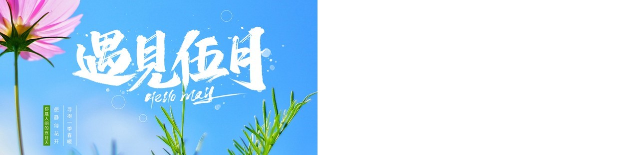 蓝色清新风遇见五月PPT通用模板