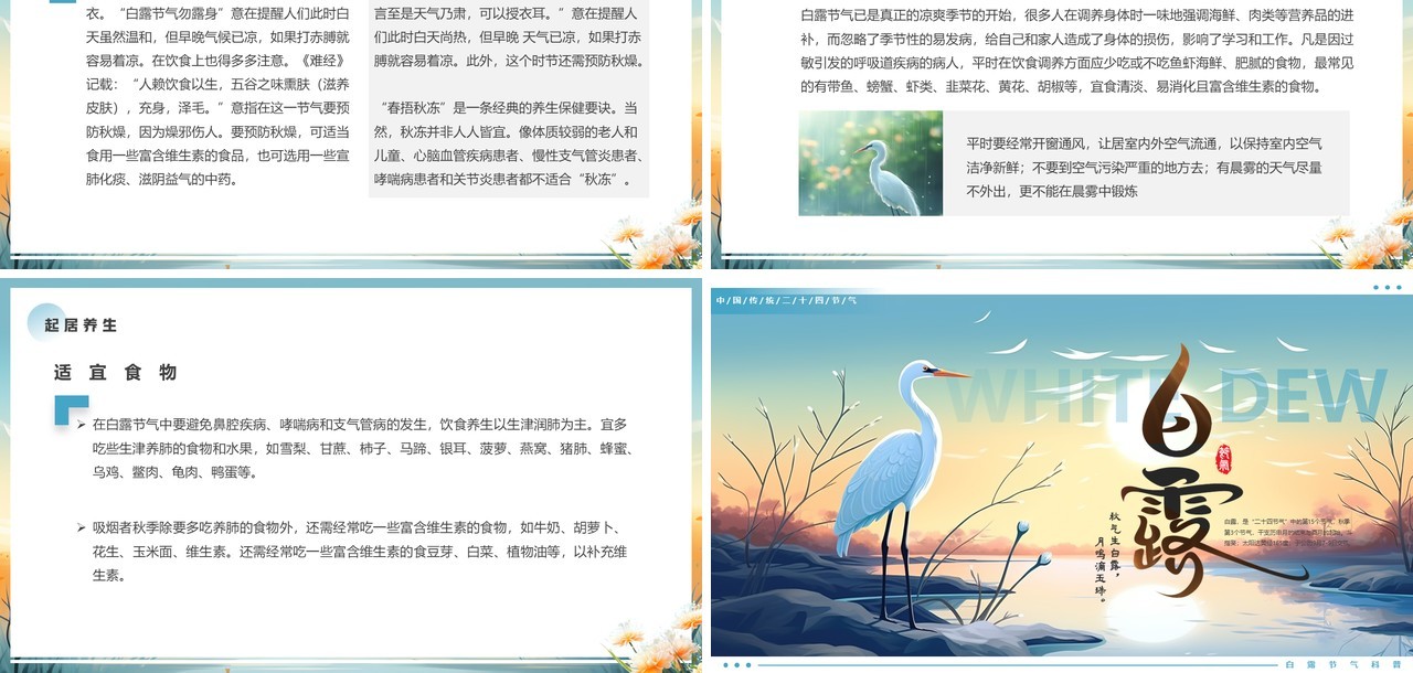 蓝色插画风二十四节气之白露PPT模板