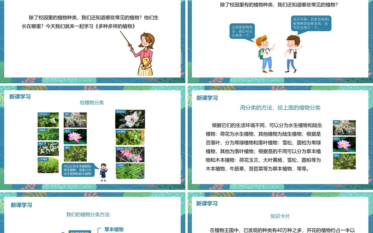 教科版六年级科学上册多种多样的植物PPT模板