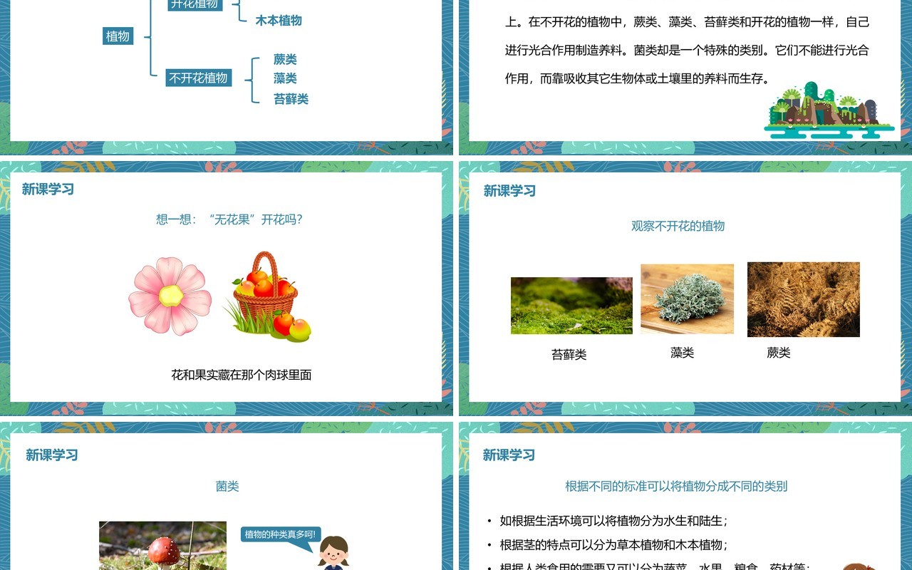 教科版六年级科学上册多种多样的植物PPT模板
