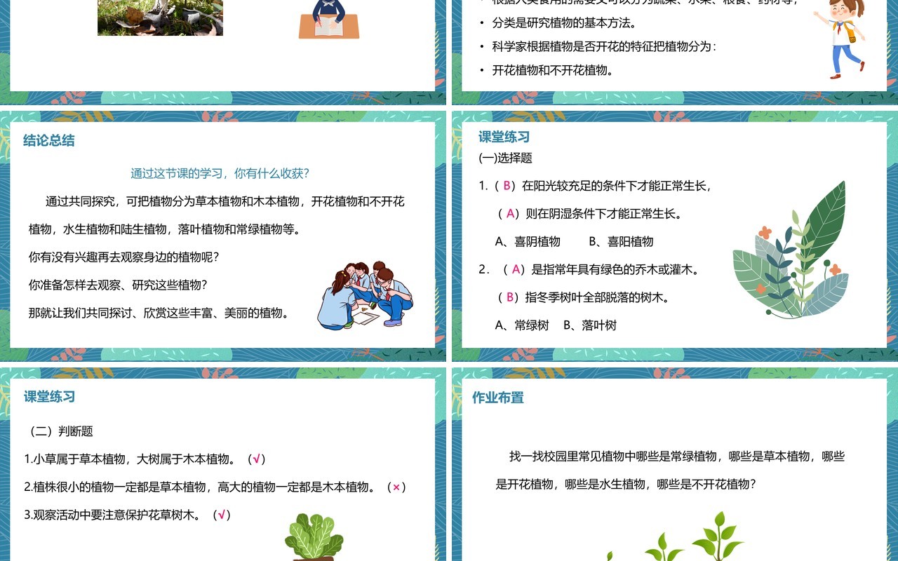 教科版六年级科学上册多种多样的植物PPT模板