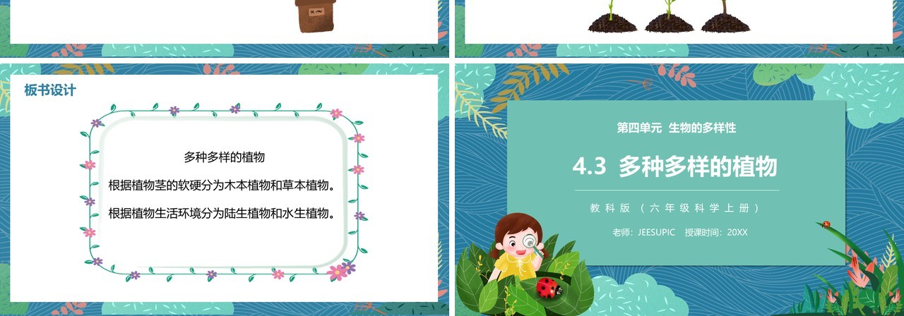 教科版六年级科学上册多种多样的植物PPT模板