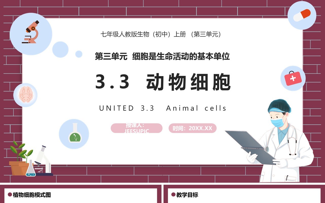 部编版七年级生物上册动物细胞课件PPT模板