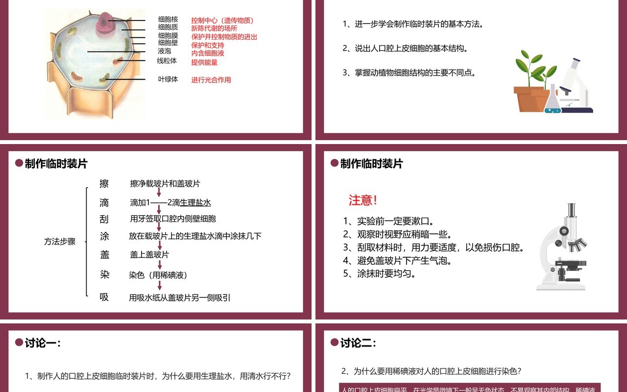 部编版七年级生物上册动物细胞课件PPT模板