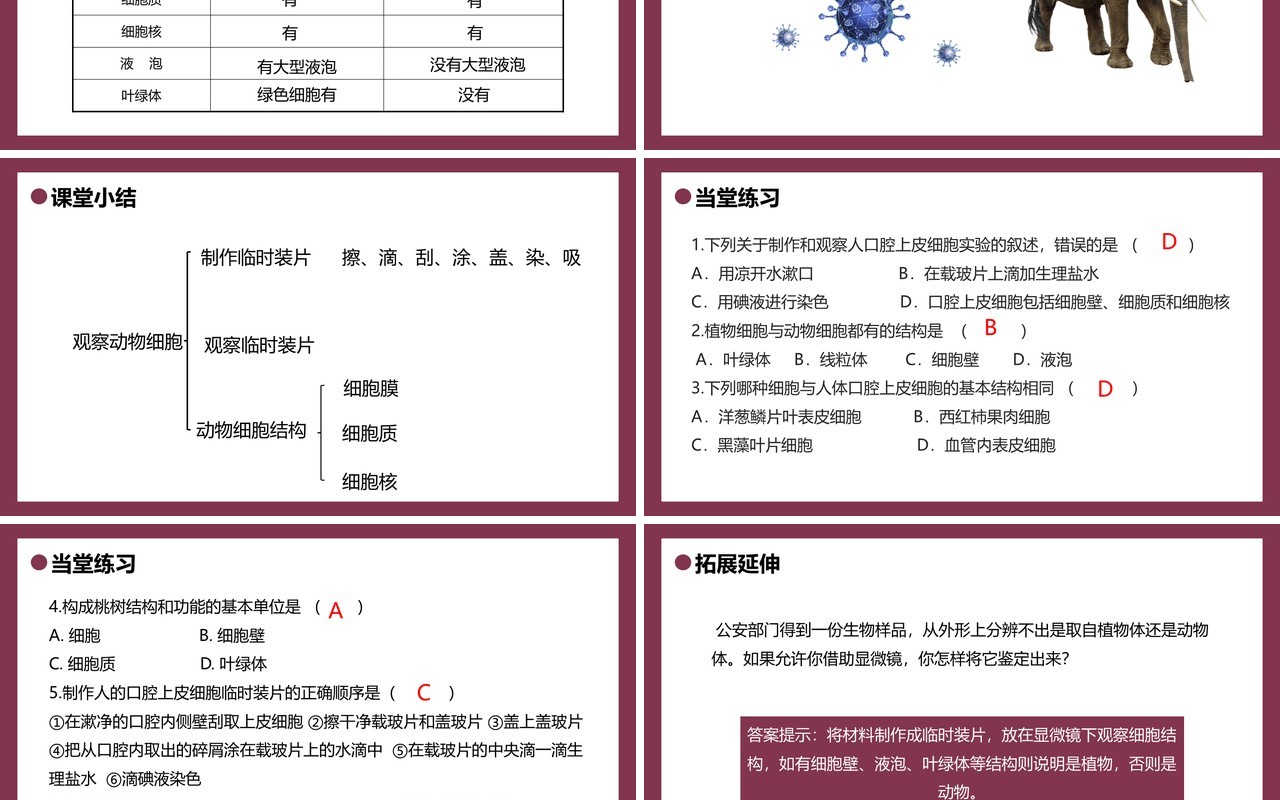 部编版七年级生物上册动物细胞课件PPT模板