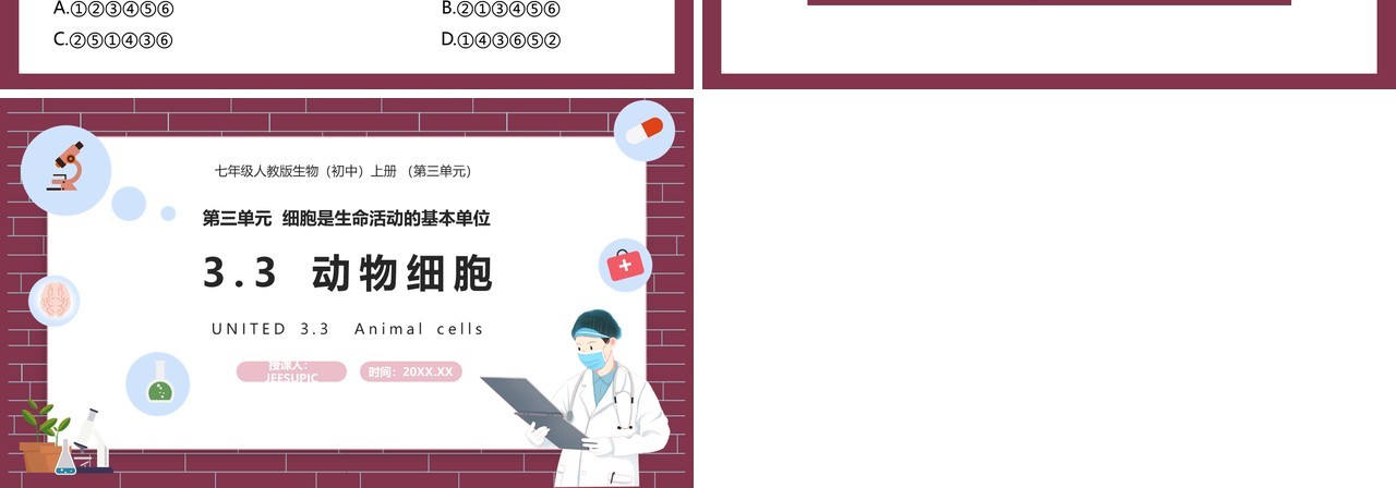 部编版七年级生物上册动物细胞课件PPT模板
