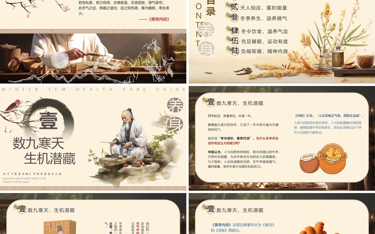 棕色中国风冬季中医养生保健PPT模板