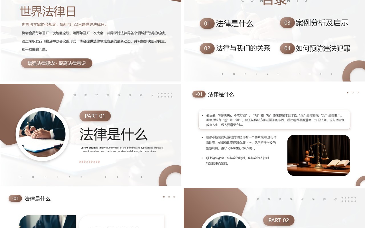 棕色简约风世界法律知识讲座PPT模板