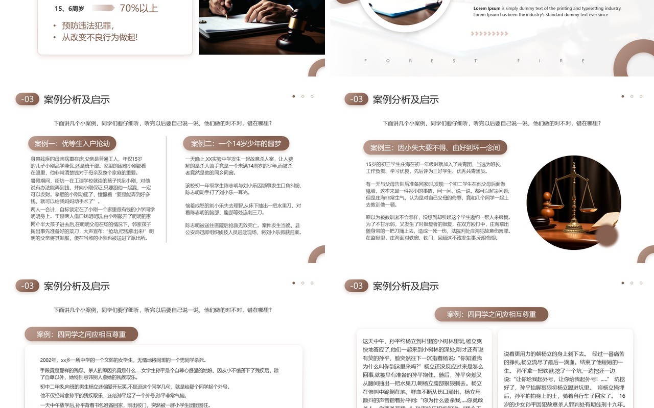 棕色简约风世界法律知识讲座PPT模板