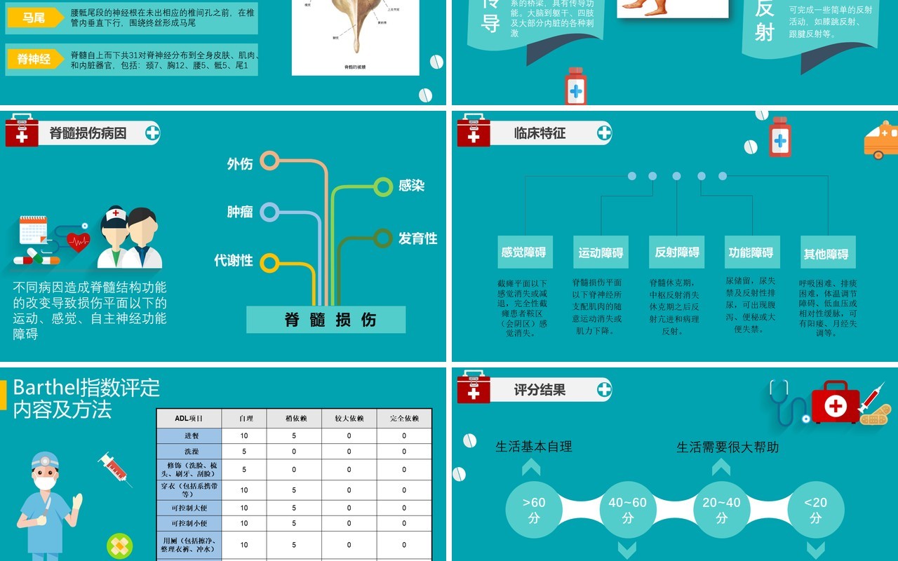 绿色医院医生脊髓损伤护理查房培训知识课件动态PPT模板