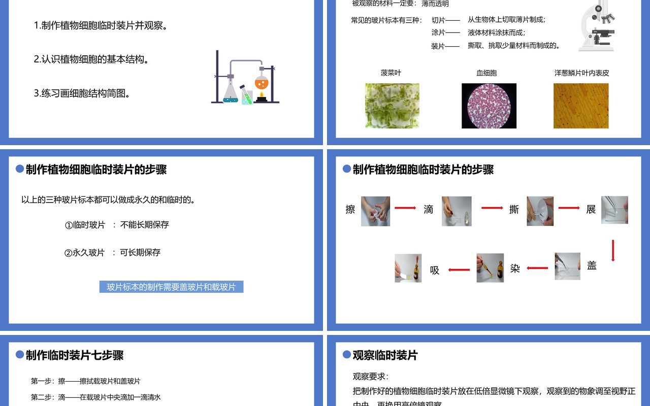 部编版七年级生物上册植物细胞课件PPT模板