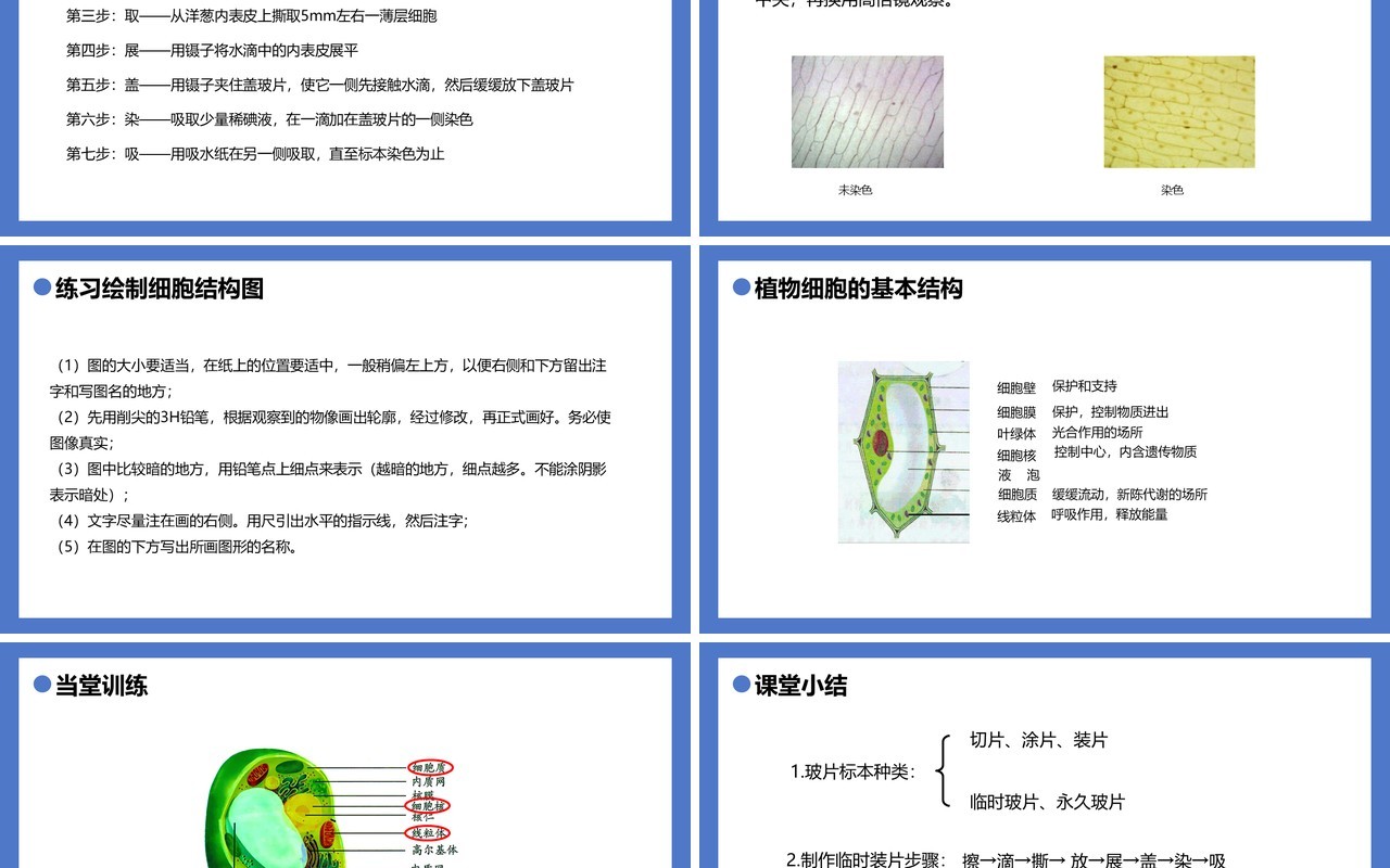 部编版七年级生物上册植物细胞课件PPT模板