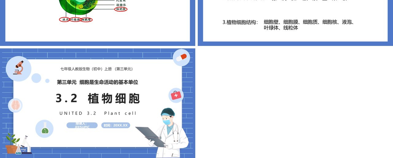 部编版七年级生物上册植物细胞课件PPT模板