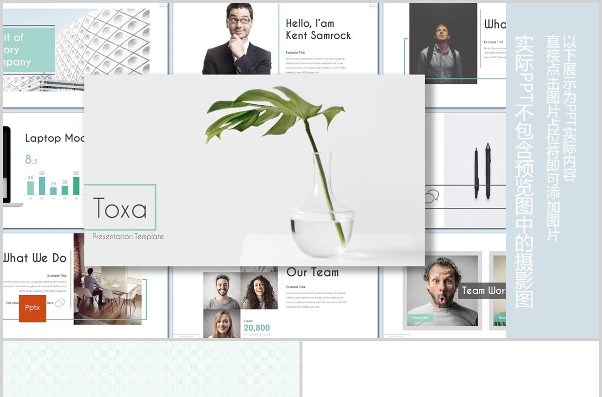公司简介通用PPT模板Toxa powerpoint template
