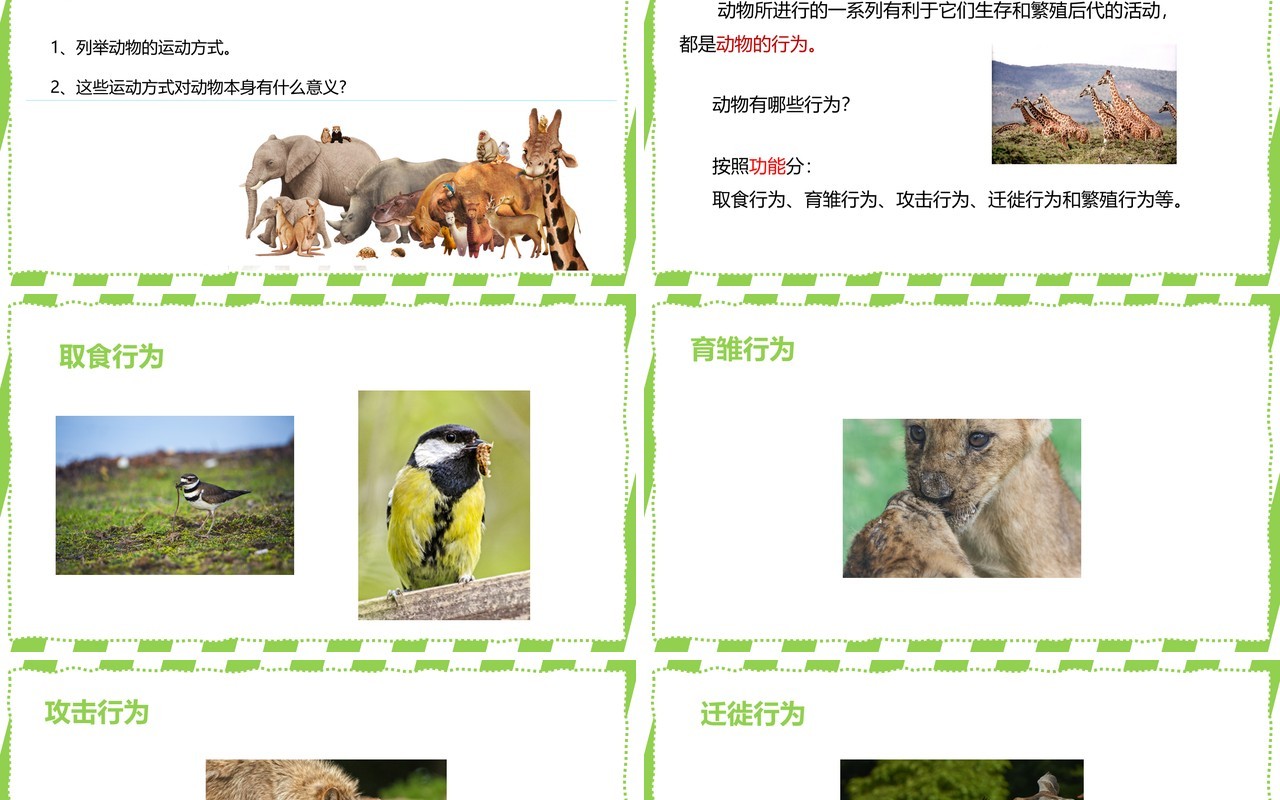 部编版八年级生物上册先天性行为和学习行为PPT模板